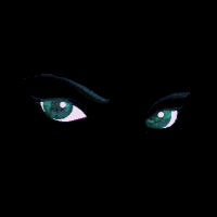 MES YEUX LA NUIT n'ayez pas peur je surveille simplement